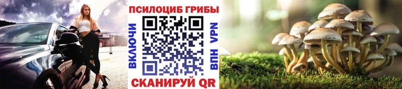 Псилоцибиновые грибы ЛСД купить Гусь-Хрустальный