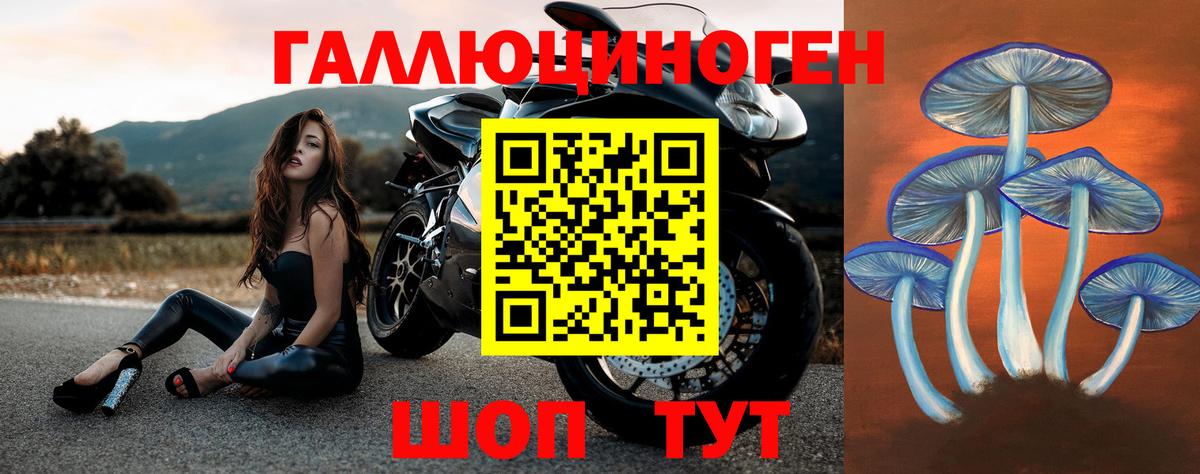 Псилоцибиновые грибы Magic Shrooms Гусь-Хрустальный