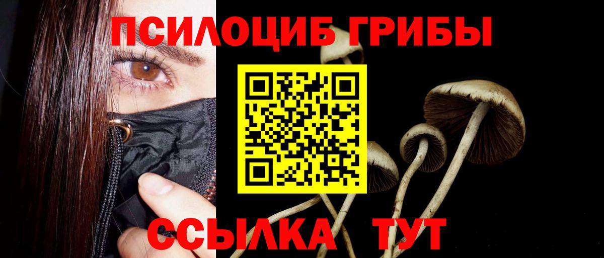 Галлюциногенные грибы Psilocybine cubensis  Вход с VPN  Псилоцибиновые грибы Psilocybe  Гусь-Хрустальный 